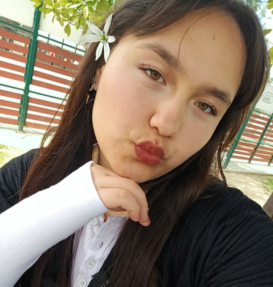 Profil